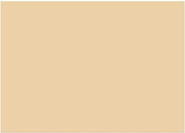 folia Tonzeichenpapier A4 in Chamois, 100 Blatt, 130g/m² - Bild 1