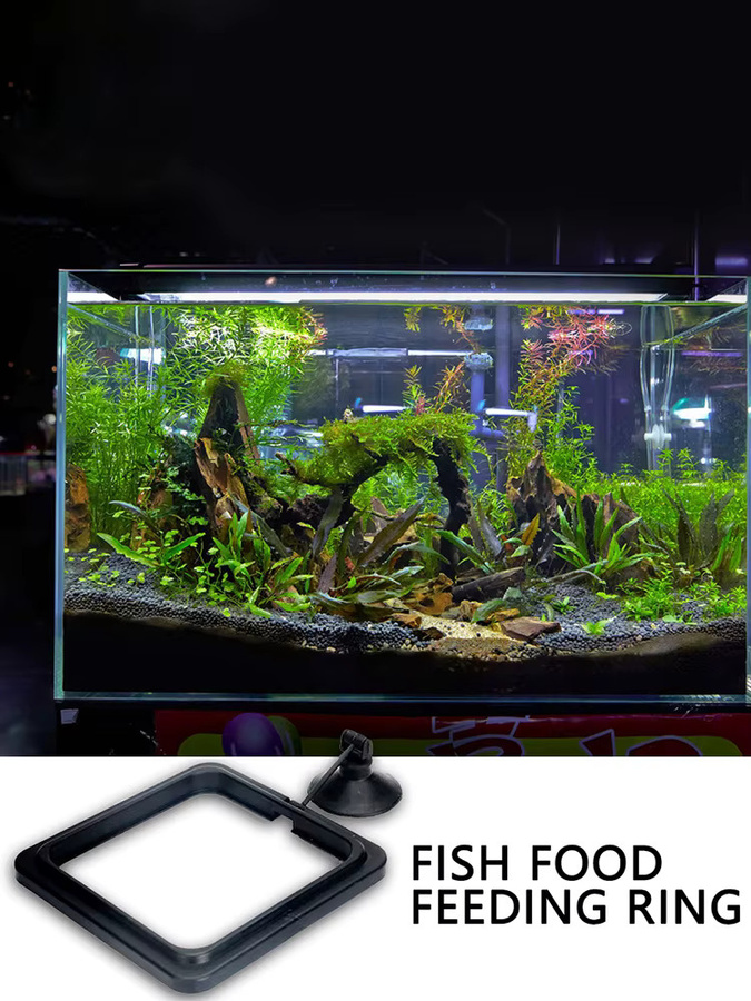 VAKIND Schwimmender Futterring für Aquarienfische in Schwarz - Bild 6