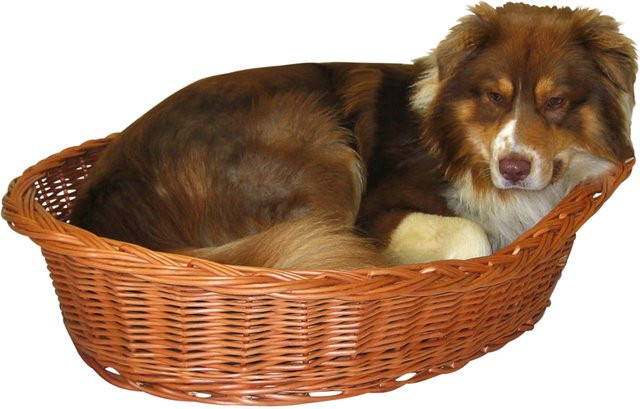 Silvio Design Ruhekorb für Hunde aus Naturweide mit Kissen in Braun, Durchmesser: 70 cm - Bild 1
