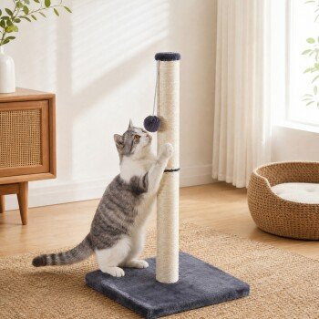 FEANDREA Kratzbaum für Katzen aus natürlichem Sisal mit integriertem Spielzeug, dunkelgrau, H x B x T: 84 x 40 x 6,2 cm - Bild 1