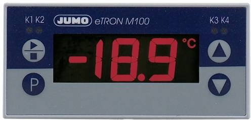 Jumo Microstat 00536164 in Grau - Bild 1