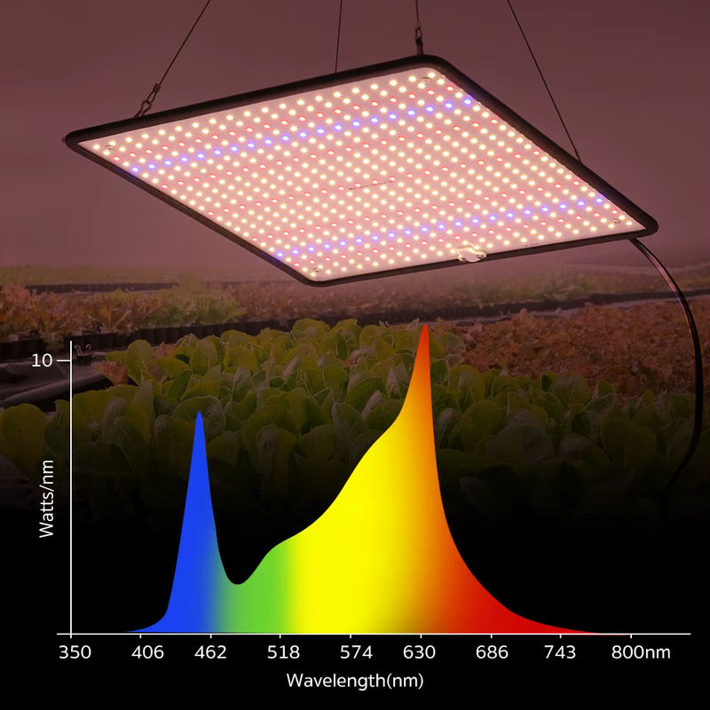 TRANYTON LED-Wachstumslicht Vollspektrum Phyto-Lampe 40 W für Indoor-Wachstumszelte und Pflanzen - Bild 2