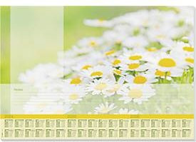 Sigel Schreibunterlage Lovely Daisies mit Kalendarium 2024/2025/2026, 30 Blatt, Multicolor, B: 59,5 cm, H: 41,0 cm - Bild 1