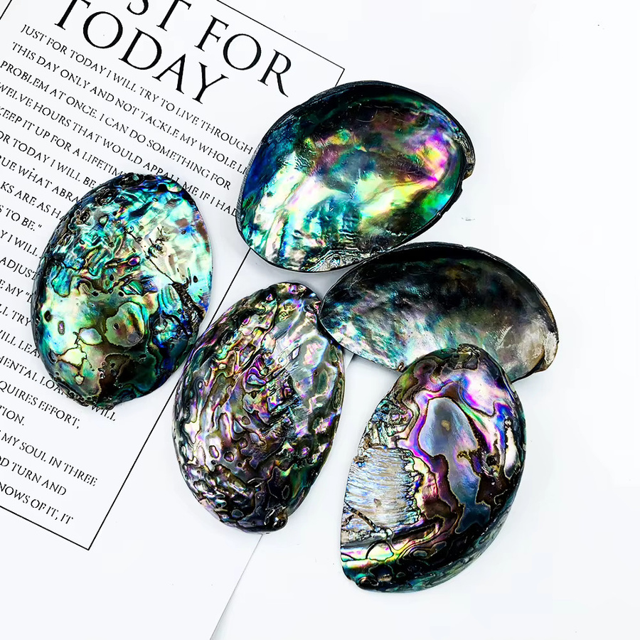 Anhänger Abalone Shell, Bunt, Unisex, 25-30mm - Bild 3