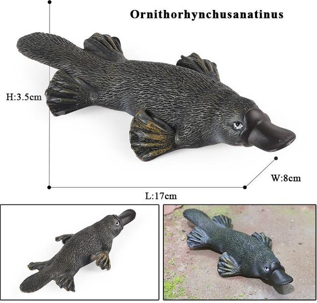 Oenux Klassische Australische Wildtiere, Modell Figur, ab 3 Jahre - Bild 1