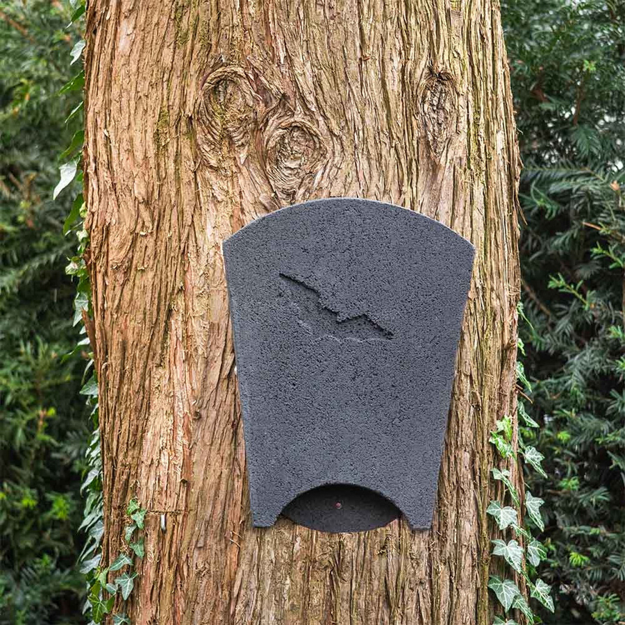 Fledermauskasten Beaumaris Midi von CJ Wildlife in Schwarz für Betonoberflächen - Bild 2