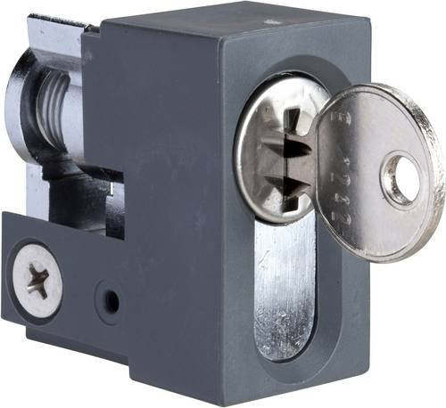 Schneider Electric NSYINKJIS2 SF/SM JIS-Schloss Verriegelung in Grau - Bild 1