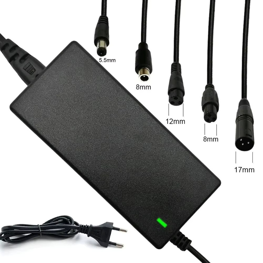 Lithium-Batterie Ladegerät 42V 2A mit 5 DC-Steckern in Schwarz für E-Roller und Elektrofahrzeuge - Bild 3