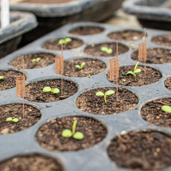 Corefit Kupferdrahtspulen für die Gartenarbeit und Elektrokultur, Kupferantennenpfähle für Pflanzen im Innen- und Außenbereich - Bild 4