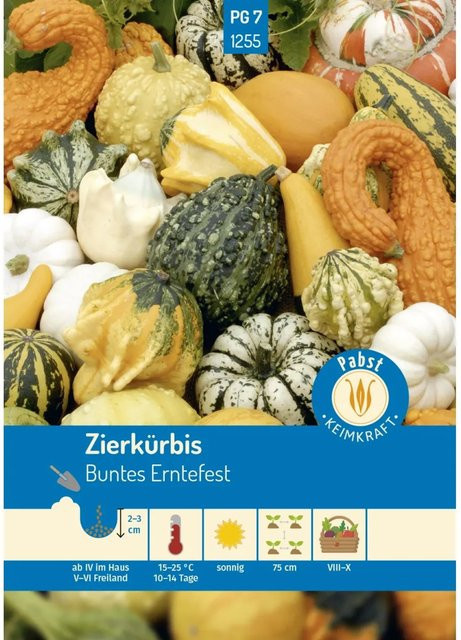 Pabst Keimkraft Zierkürbis Buntes Erntefest Gemüsesamen Saatgut - Bild 1