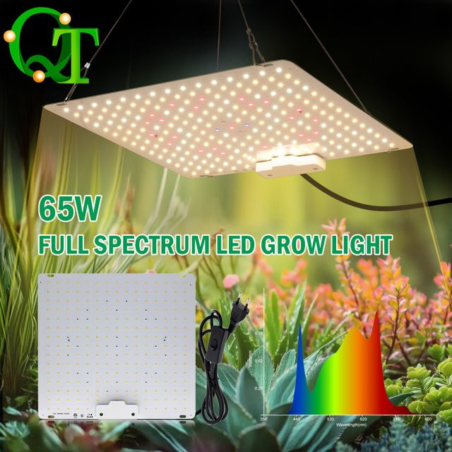 GRAXGROW 65 W Vollspektrum-Wachstumslampe mit 5 Lichtfarben und LM281B LED-Technologie für Pflanzen und Gewächshaus - Bild 1