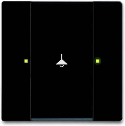 Busch-Jaeger Eingangsmodul 6125/02-885 Schwarz Tiefschwarz RAL 9005 - Bild 1