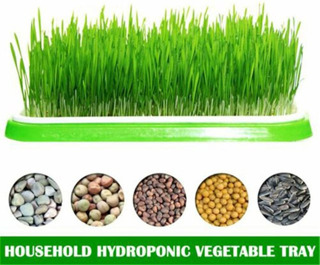 LEENKEA Hydroponik Keimschale mit Doppelschicht für den Gartenbau und Pflanzenzucht - Bild 1