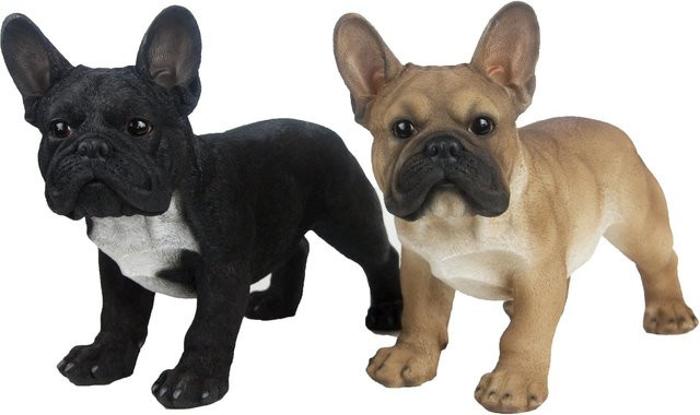 Deko-Figur Französische Bulldogge von Sunny Garden in Schwarz und Braun, Höhe: 35 cm - Bild 1