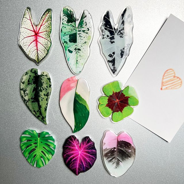 9 Stück Kühlschrankmagnete mit floralen Blatt- und Pflanzenmotiven in Grün und Multicolour zur Dekoration von Whiteboards und Küchenoberflächen - Bild 1