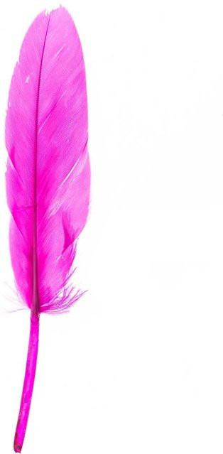 idee. Creativmarkt Gänsefedern Pink, 24 Stück - Bild 1