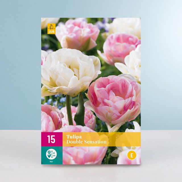 Tulpen Double Sensation Mix von BLUME2000 mit 15 Zwiebeln - Bild 1