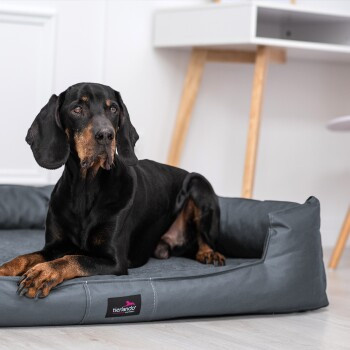 Tierlando GOOFY Orthopädisches Hundebett aus Polyester mit abnehmbarem Bezug, grau, B/T/H: 110 x 90 x 22 cm - Bild 3