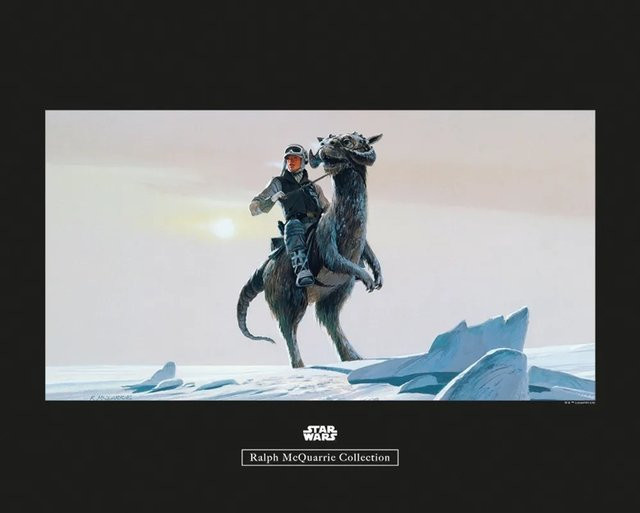 Komar Wandbild Star Wars Tauntaun Multicolor B: 50 cm, H: 40 cm - Bild 1