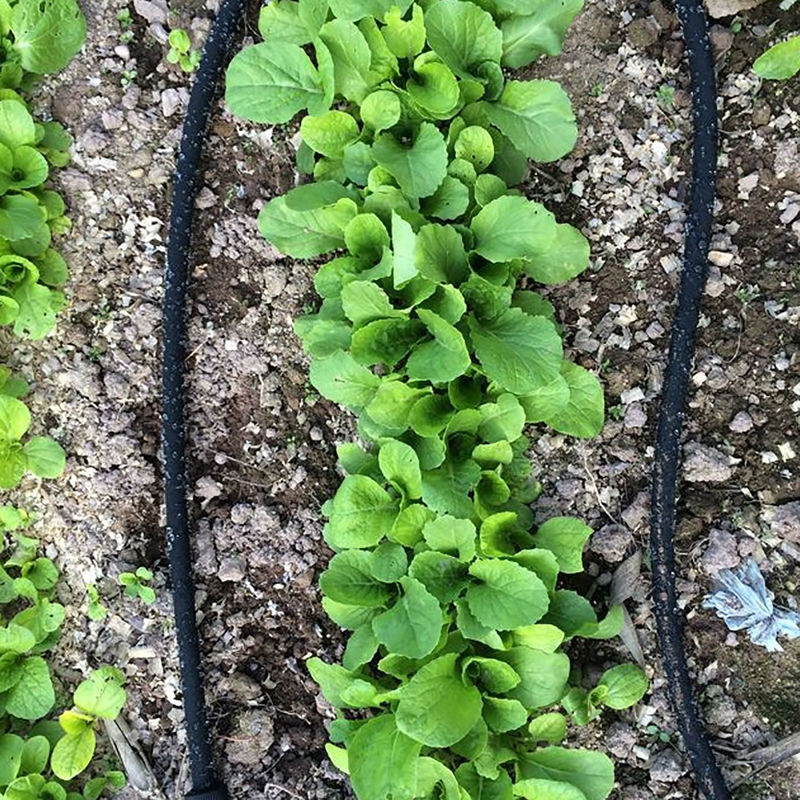Adhere To Fly Mikro-Tropf-Bewässerungsschlauch, 10 m, Schwarz, 4/9 mm und 12/16 mm, Anti-Aging Kunststoff-Schlauch für Obstbäume und Haushalt - Bild 5