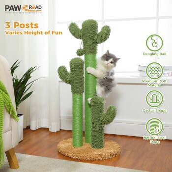 Pawz Road Kaktus Kratzbaum für Katzen in Grün mit integriertem Spielzeug und Sisal, H x B x T: 88 x 40 x 40 cm - Bild 2