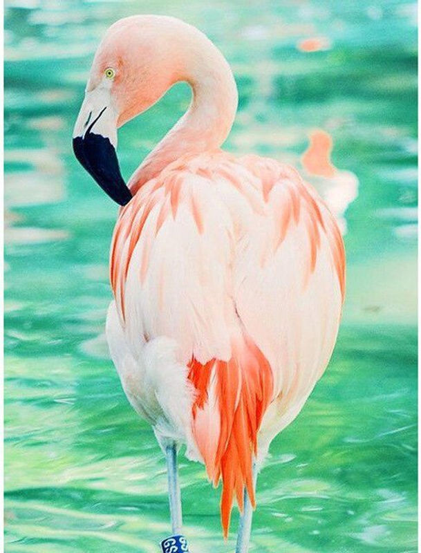 FIYO Diamond Painting Set Flamingo Motiv in Rosa, 5D DIY Kreuzstich Landschaft mit Strass, B/H: 30 x 20 cm - Bild 1