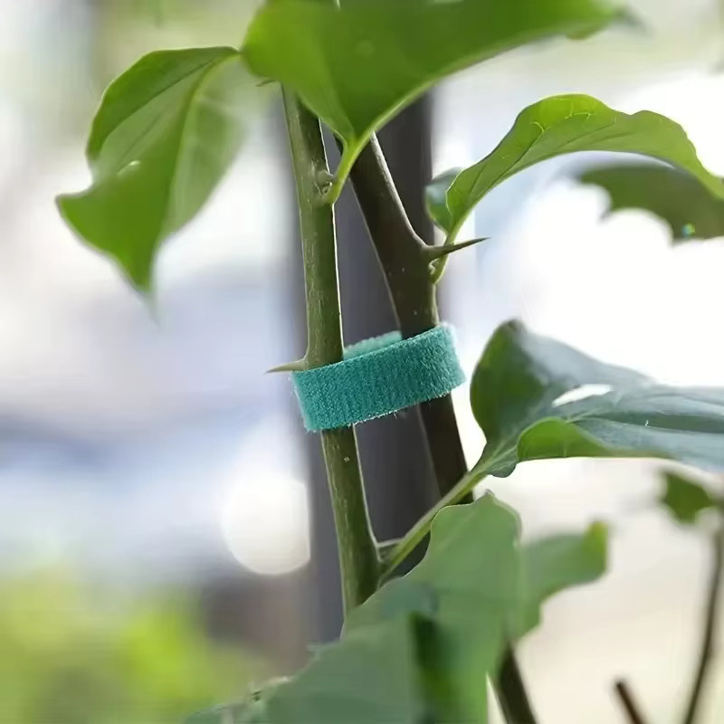 Selbstklebendes Nylon-Pflanzenstützband in Grün zur Befestigung von Pflanzen und als wiederverwendbare Kabelbinder für den Garten - Bild 4