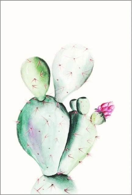 Komar Wandbild Prickly Pear Watercolor in Grün und Pink, B: 30 cm, H: 40 cm - Bild 1