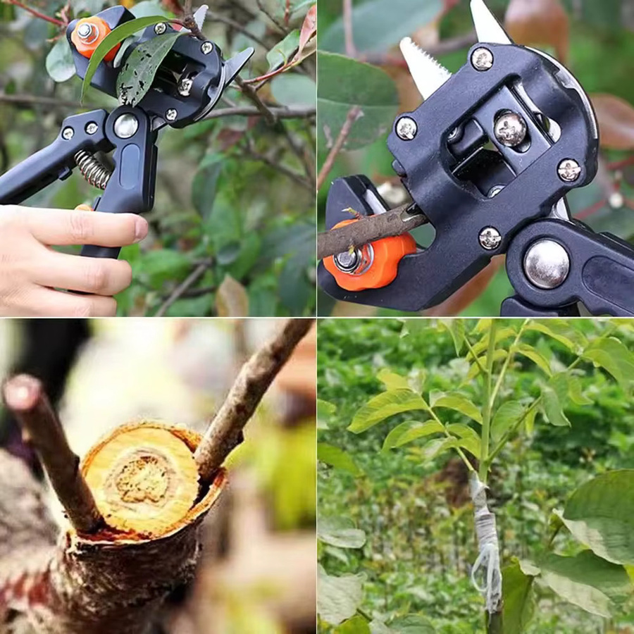 Ninth World Veredelungsschere in Schwarz für die professionelle Obstbaumveredelung und als Astschneider - Bild 2