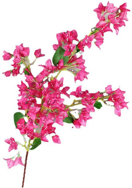 Künstliche Bougainvillea Zweige von mfySpace in Pink und Grün aus Kunstseide mit Eisendraht-Stielen, Höhe: 120 cm - Bild 1