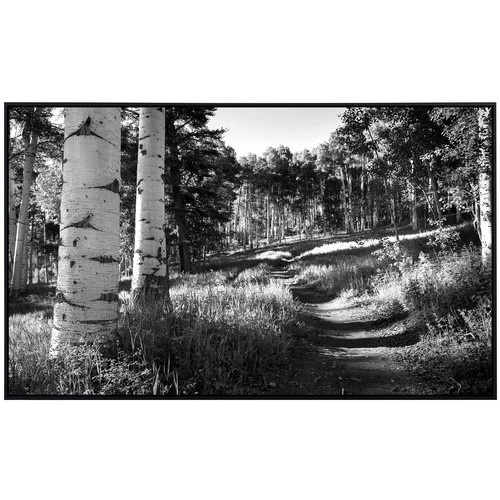 papermoon Infrarotheizung EcoHeat Birkenwald Schwarz Weiss mit Matt-Effekt und App-Steuerung - Bild 2
