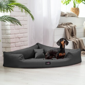Tierlando TRIVIA orthopädisches Hundebett in Schwarz/Graphit mit abnehmbarem Bezug, B/T/H: 120 x 120 x 25 cm - Bild 2
