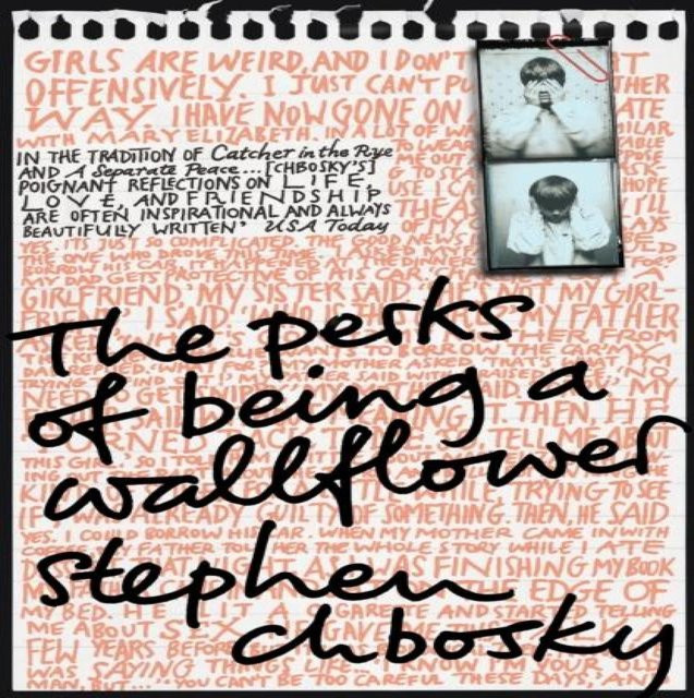 Vielleicht ist es das, was uns ausmacht von Stephen Chbosky, Taschenbuch - Bild 1