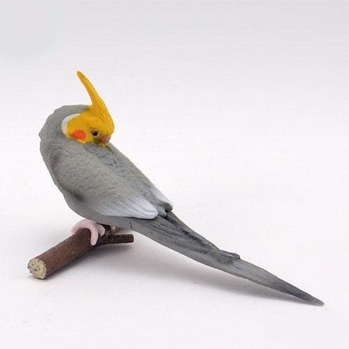 Feine Morgen Vogel Serie Gashapon Wellensittich Nymphensittich Unzertrennlicher, Actionfigur, ab 14 Jahren - Bild 1