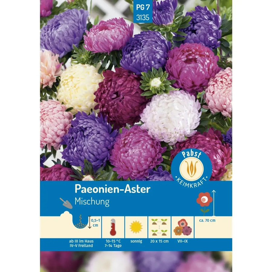 Pabst Keimkraft Saatgut Paeonien und Aster Mischung für Beete und Rabatten - Bild 2