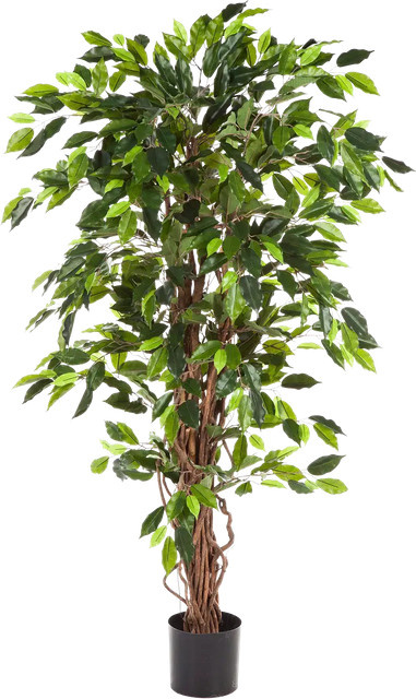 Künstlicher Ficus Issa von Aplanta, Höhe: 120 cm - Bild 1