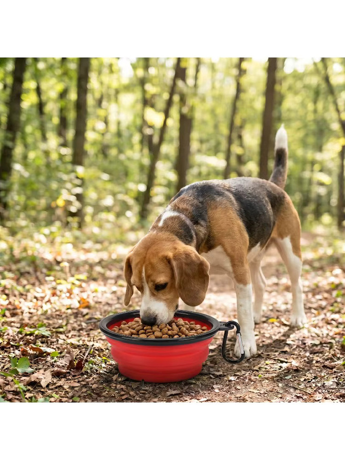 XMSJ Tragbare faltbare Haustiernapf aus TPE in Blau für Hunde und Katzen zum Reisen und Camping - Bild 6
