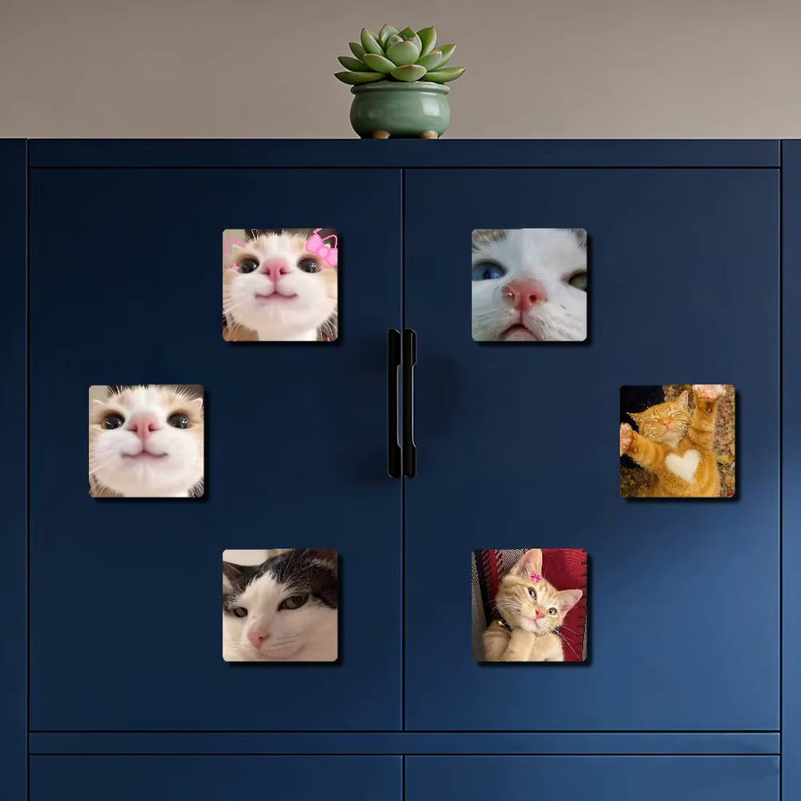Lustige Katze Memes Kühlschrankmagnete in Multicolor als Cartoon Tiermagnete zur Kühlschrankdekoration - Bild 4