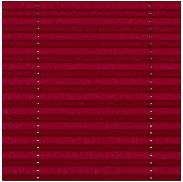 LICHTBLICK Spannplissee Brombeere, Farbe: Lila, B/H: 55 x 130 cm - Bild 1