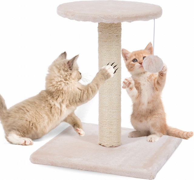 Ultiness Mini Kratzbaum COCO in Beige mit Sisal-Kratzpfosten und integriertem Spielzeug für Katzen - Bild 1