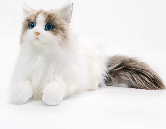 Katze Plüschtier, Weiß, ab 0 Jahren - Bild 1