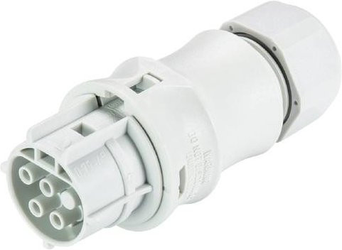 Wieland Electric 96.041.4153.0 Steckverbinder in Grau und Weiß - Bild 1
