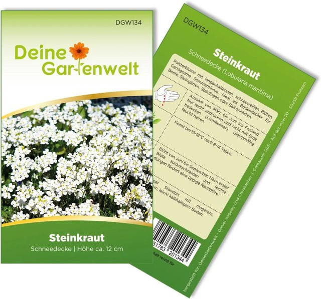 Deine Gartenwelt Steinkraut Schneedecke Samen als Bodendecker für Beete, Steingärten und Balkonkästen - Bild 1
