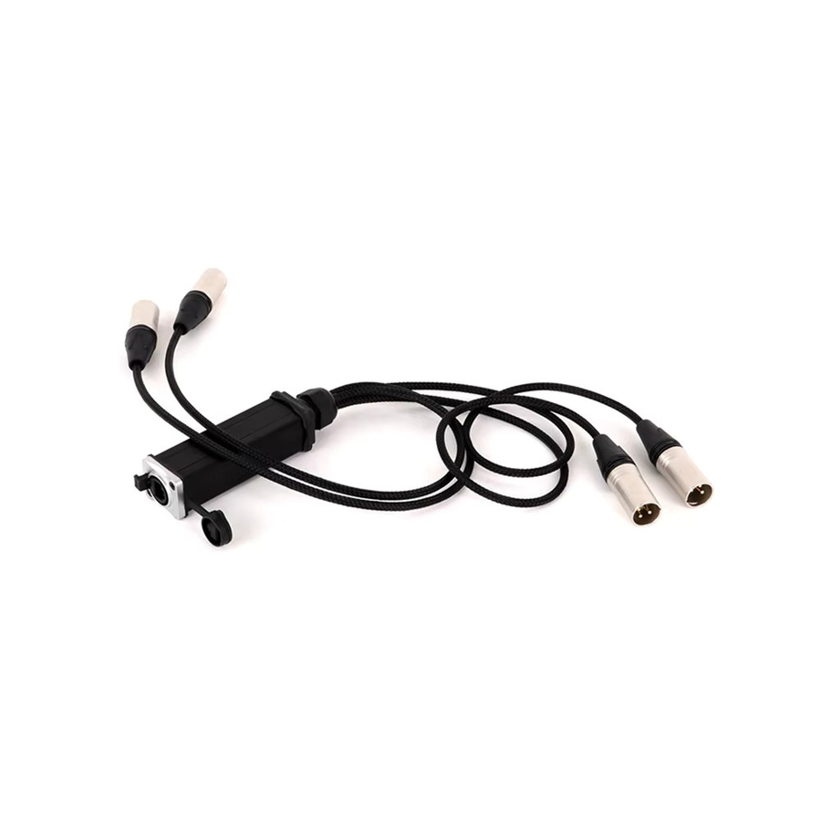 GuerGuo 4-Kanal XLR auf RJ45 Ethernet LAN Audio-Snake für Bühnen, Beleuchtung und Studio, Schwarz - Bild 2