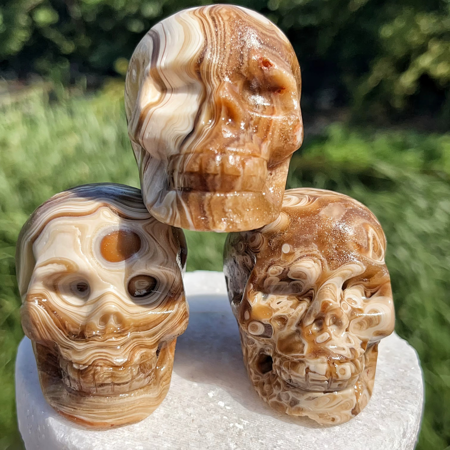 CRYSTALHOLA Natürlicher Schokoladenstein-Schädel in Braun mit Bernsteinband als 3D-geschnitzte Dekoration - Bild 4