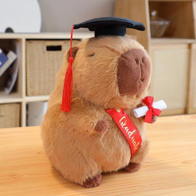 Binchi Fitness Capybara Kuscheltier, Stofftier, braun, ab 14 Jahren - Bild 1