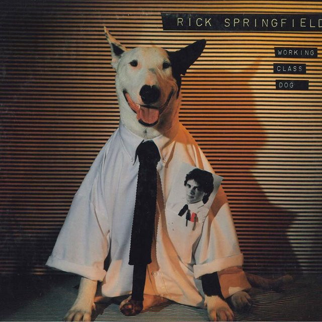 Rick Springfield - Working Class Dog LP Schallplatte von RCA (1981) Rock & Pop Vinyl Gebraucht - Bild 1