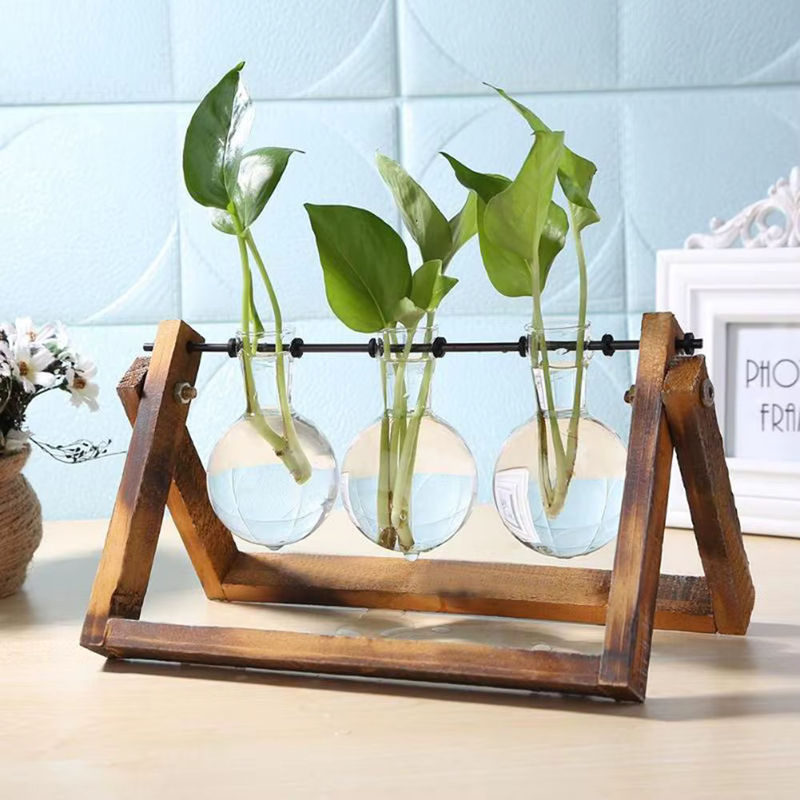 Vintage Hydrokultur Pflanzenvase aus Glas mit rundem Holzrahmen für Bonsai und Terrarium, transparent - Bild 3