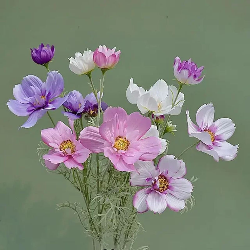 Künstliche Kosmos-Blume aus Textil, einzelner Zweig mit 4 Blüten in Blau und Mehrfarbig für deine Hochzeits- oder Wohnzimmerdekoration - Bild 1