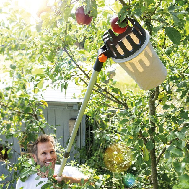 Powertec Garden Teleskop-Obstpflücker aus Aluminium in Schwarz - Bild 1